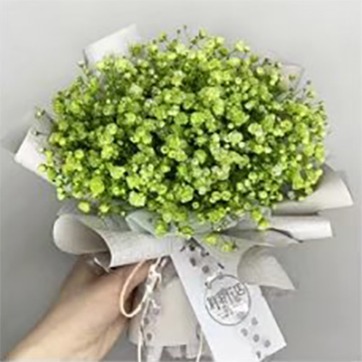 กระดาษห่อช่อดอกไม้แบบเรียบง่าย